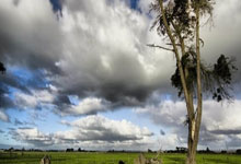 雷速体育：西媒：弗里克的信任帮助德容找回了自信，续约谈判出现转机.