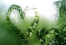 不卷你就没法出人头地.