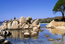 雷速体育：[篮球公园]篮谈2024：辽宁夺CBA总冠军 雄鹿获NBA杯冠军.